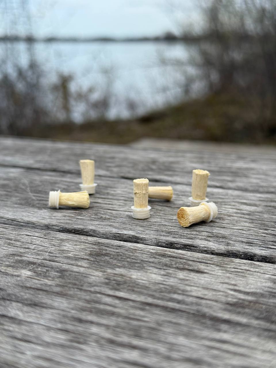 The Miswak Head 6 Pack